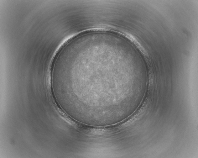 X0000116031232200912041928