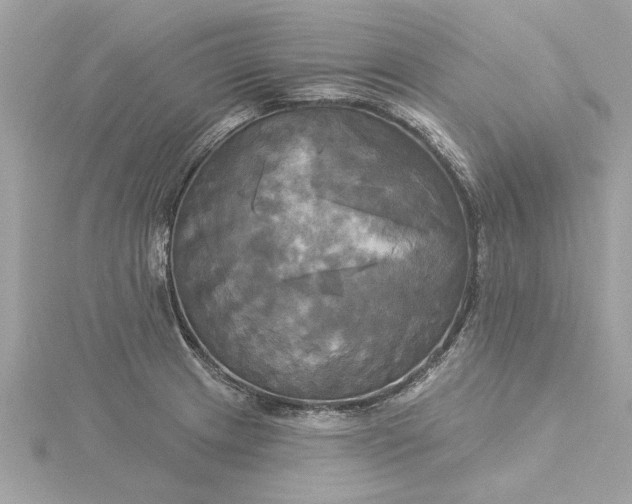 X0000116031233200912041928