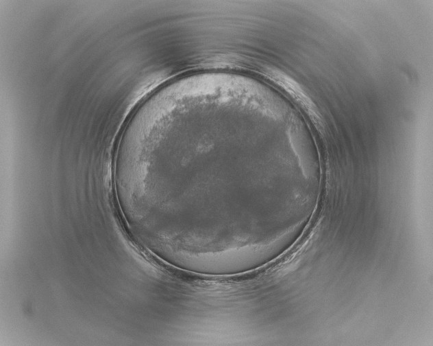 X0000116031234200912041928