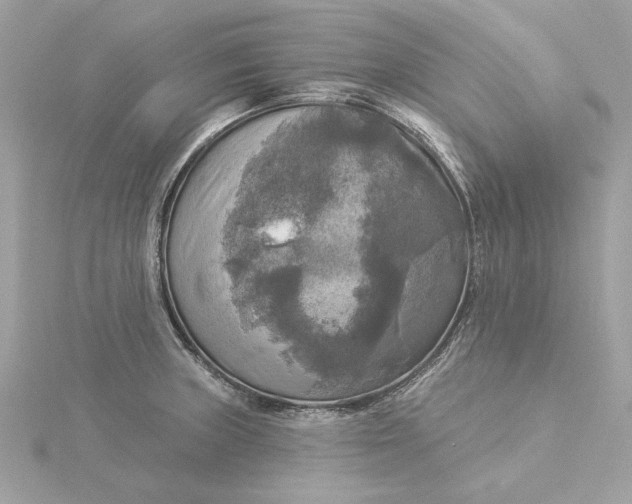 X0000116031235200912041928