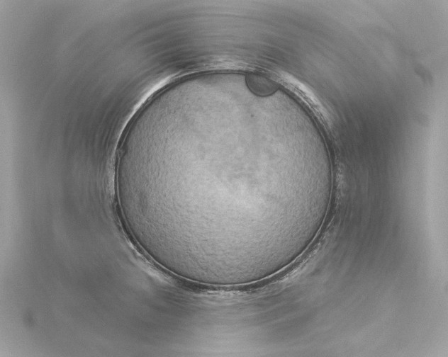 X0000116031236200912041928