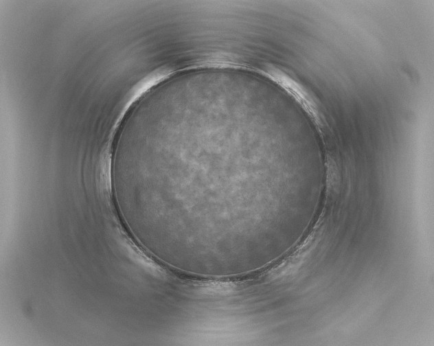 X0000116031238200912041928