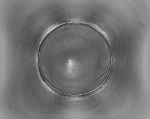 X0000116031239200912041928