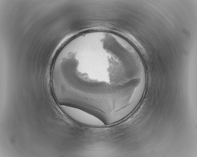 X0000116031240200912041928