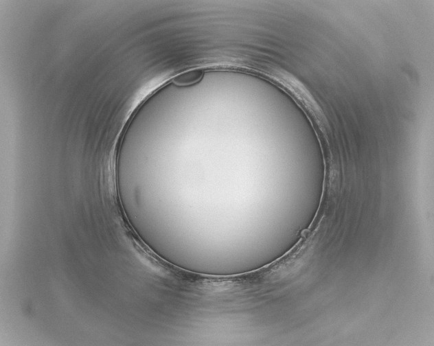 X0000116031242200912041928