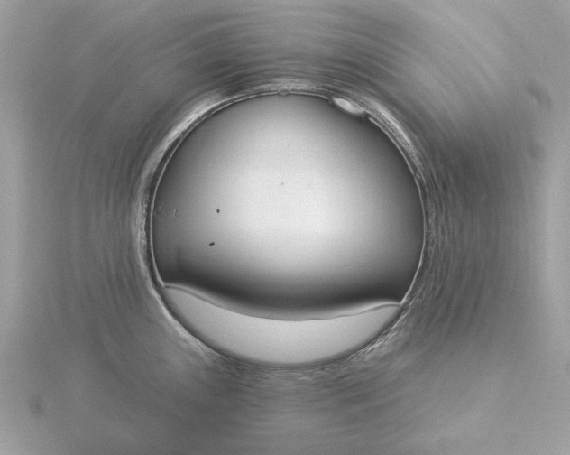 X0000116031243200912041928