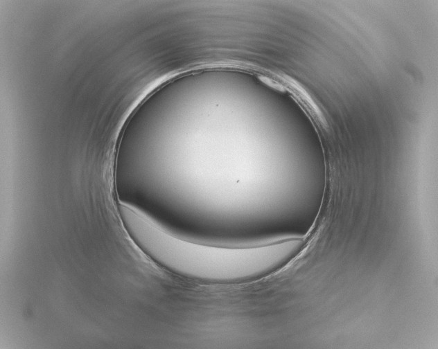 X0000116031244200912041928