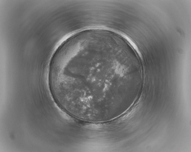 X0000116031245200912041928