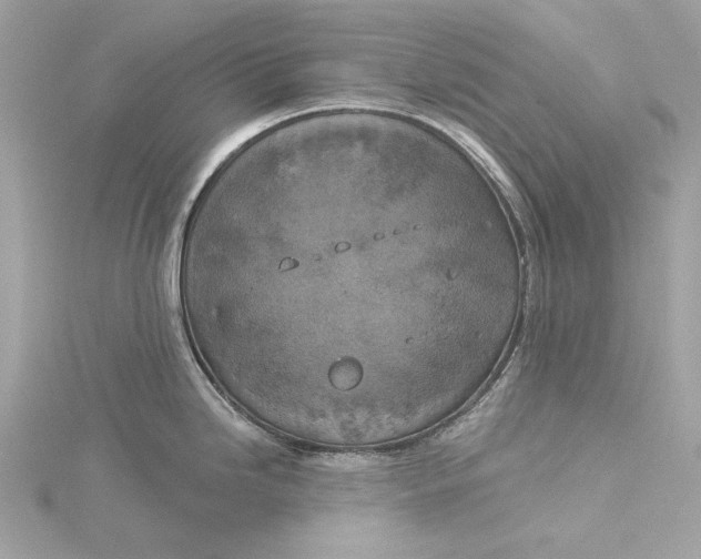 X0000116031246200912041928