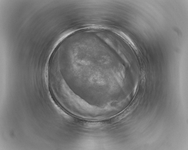 X0000116031247200912041928