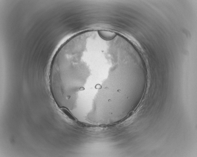 X0000116031248200912041928