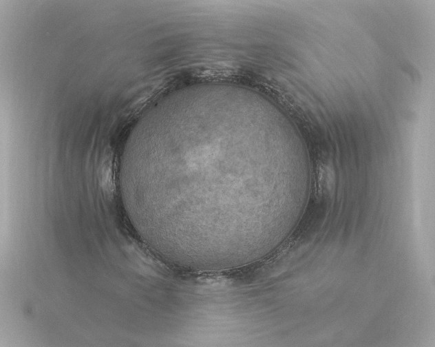 X0000116031250200912041927