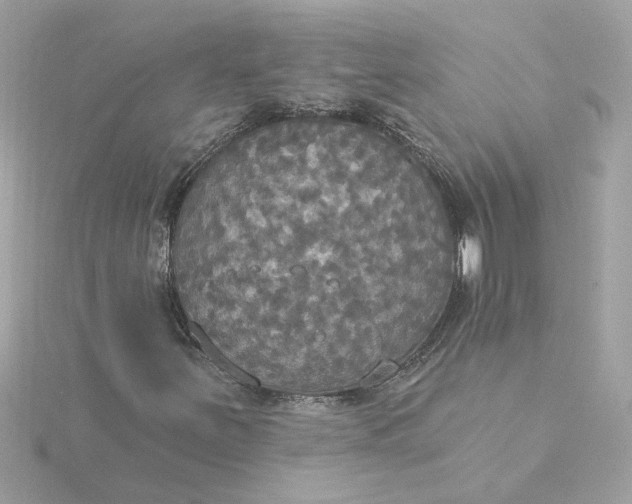 X0000116031251200912041927