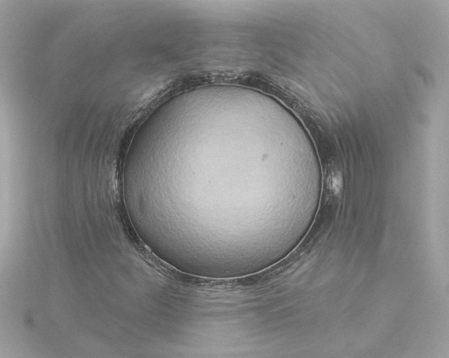 X0000116031252200912041927