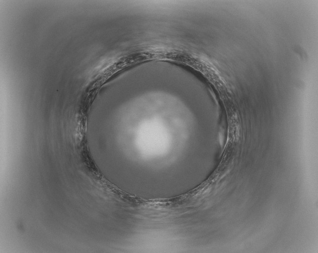 X0000116031253200912041927