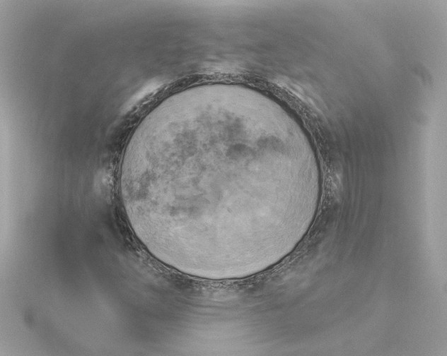 X0000116031254200912041927