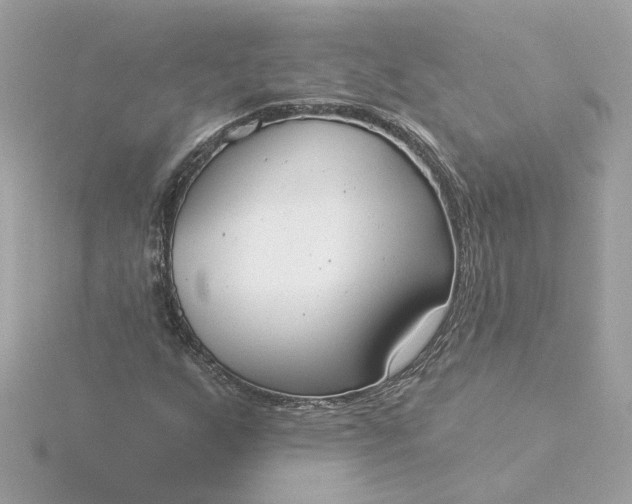 X0000116031255200912041927