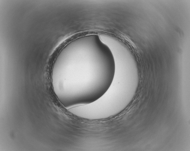 X0000116031256200912041927