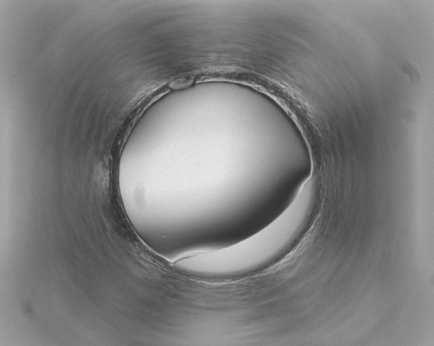 X0000116031257200912041927