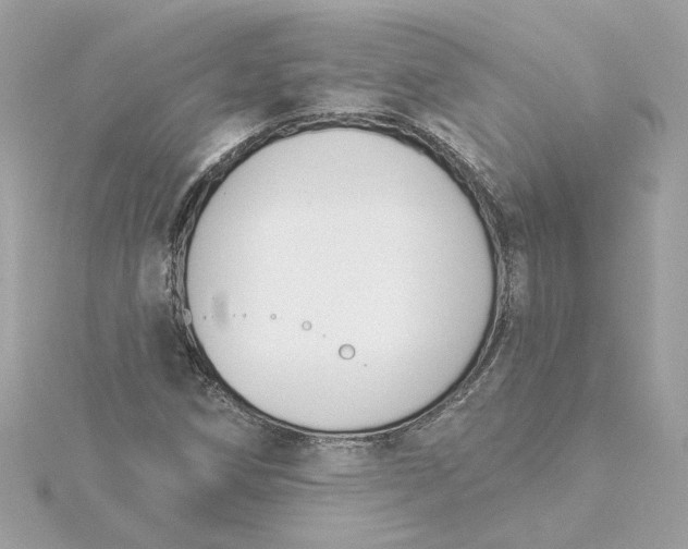 X0000116031258200912041927