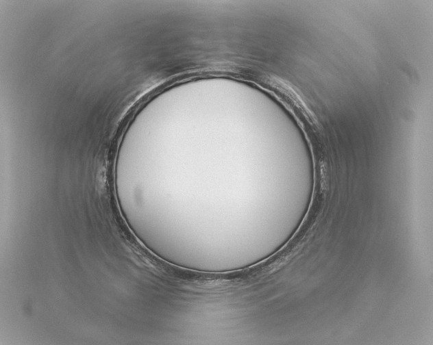 X0000116031260200912041927