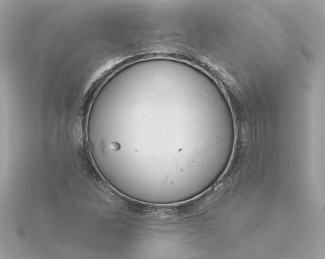 X0000116031262200912041927