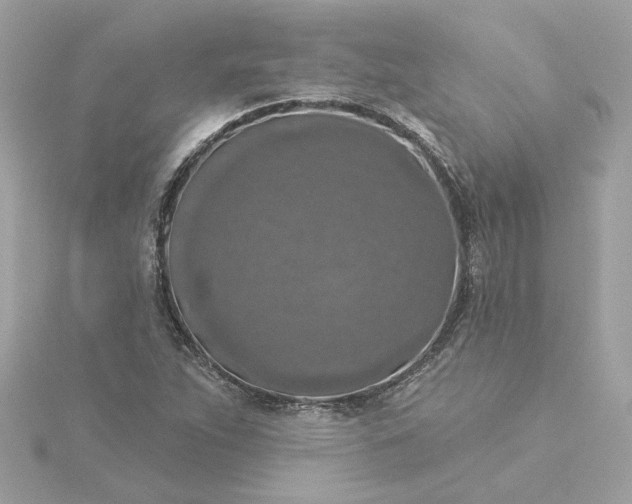 X0000116031263200912041927