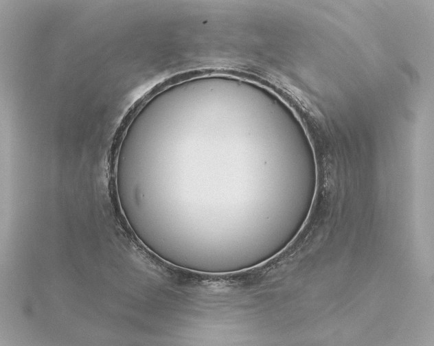 X0000116031264200912041927