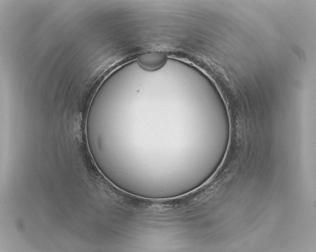 X0000116031265200912041927