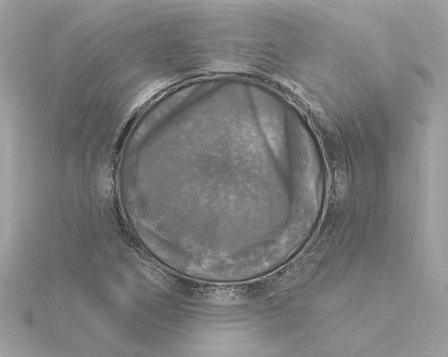 X0000116031266200912041927