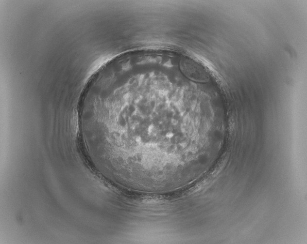 X0000116031267200912041927