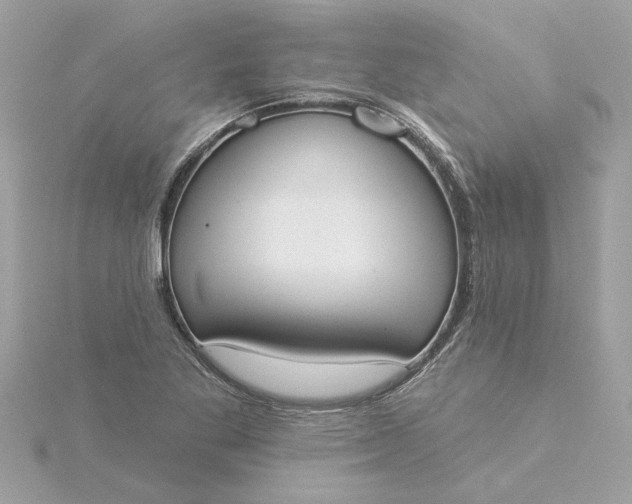 X0000116031269200912041927