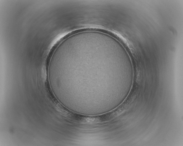 X0000116031271200912041927