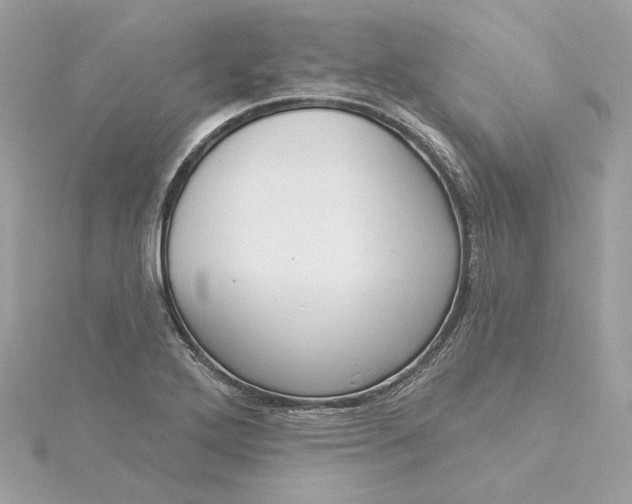 X0000116031272200912041927