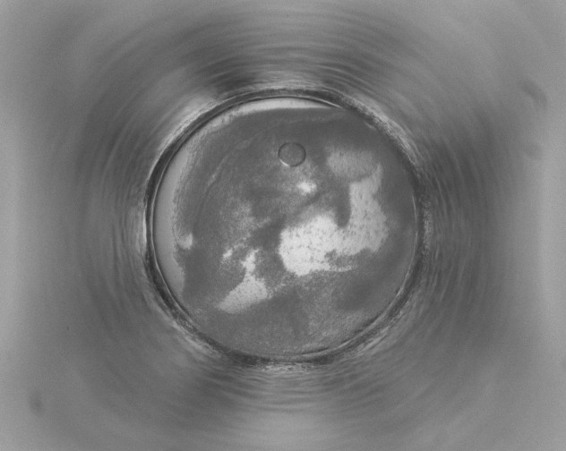 X0000116031274200912041927