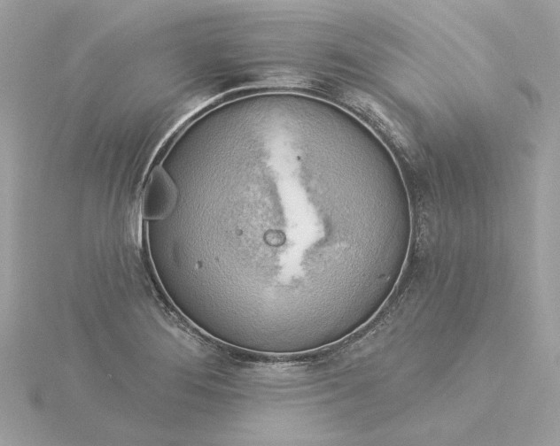 X0000116031276200912041927