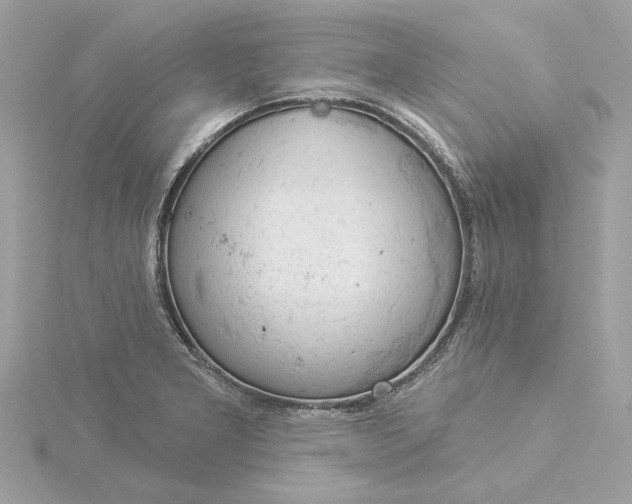 X0000116031277200912041927