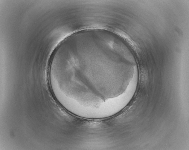 X0000116031278200912041927