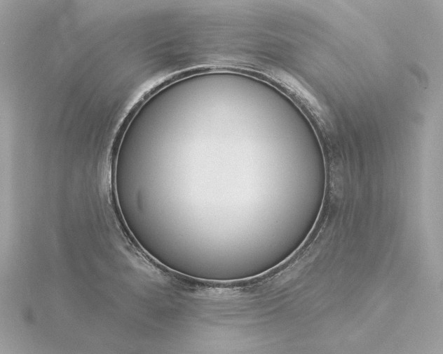 X0000116031280200912041927