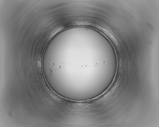 X0000116031281200912041927