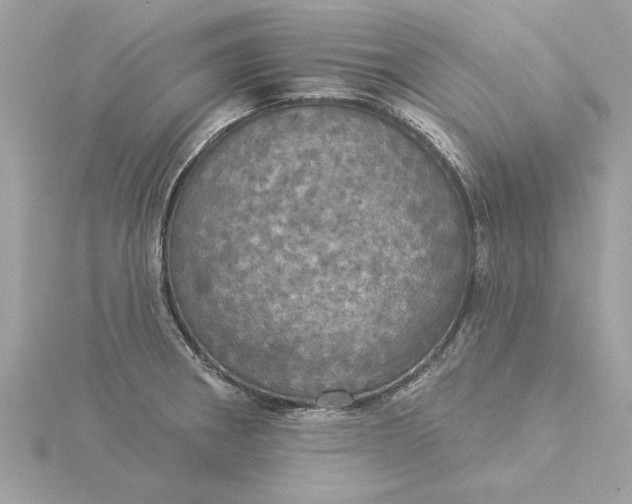 X0000116031282200912041927