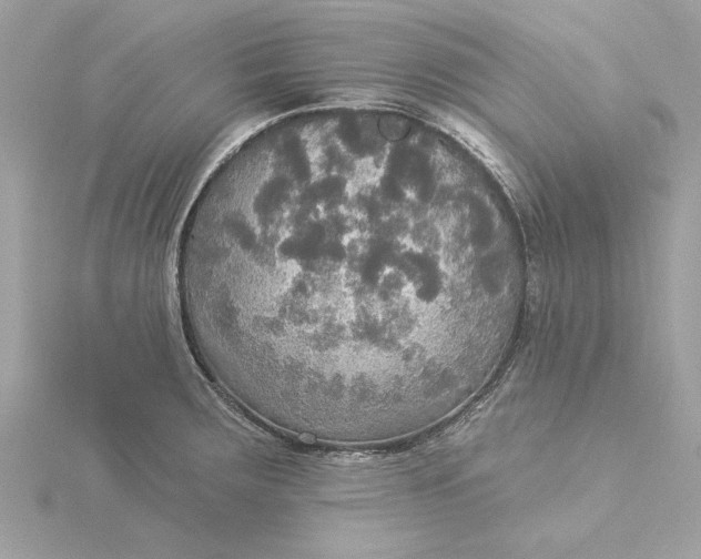 X0000116031283200912041927