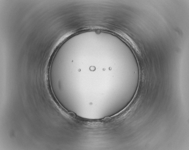 X0000116031285200912041927