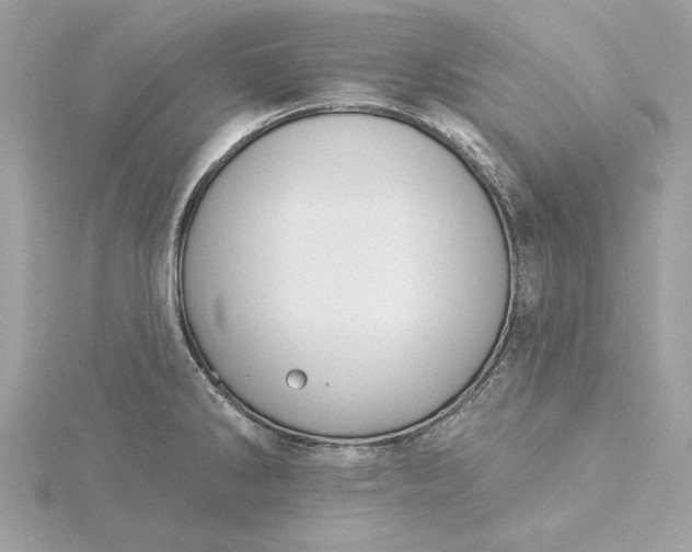 X0000116031286200912041927