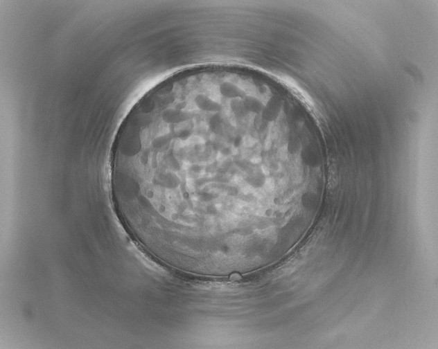 X0000116031287200912041927