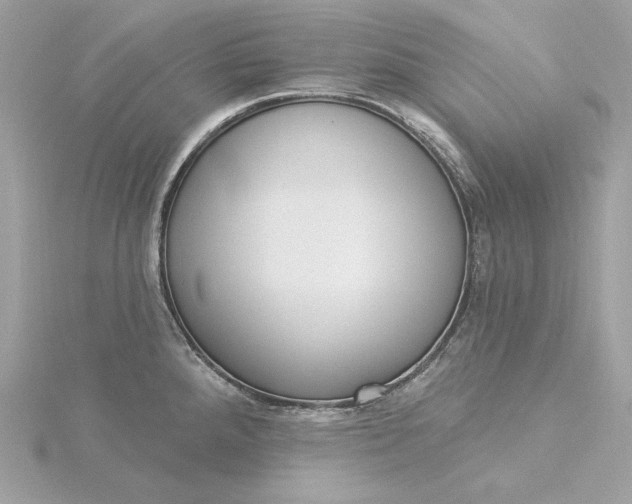 X0000116031288200912041927