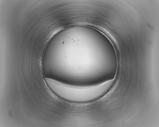 X0000116031289200912041927