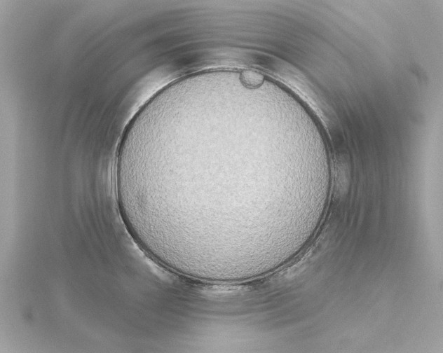 X0000116031290200912041927