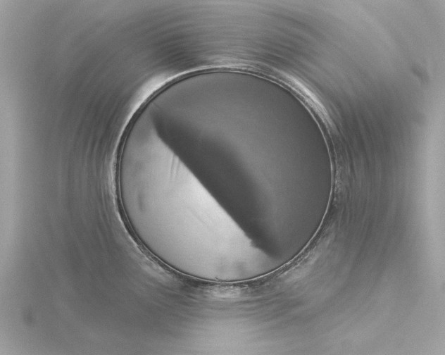 X0000116031291200912041927