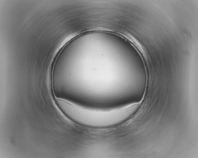 X0000116031293200912041927